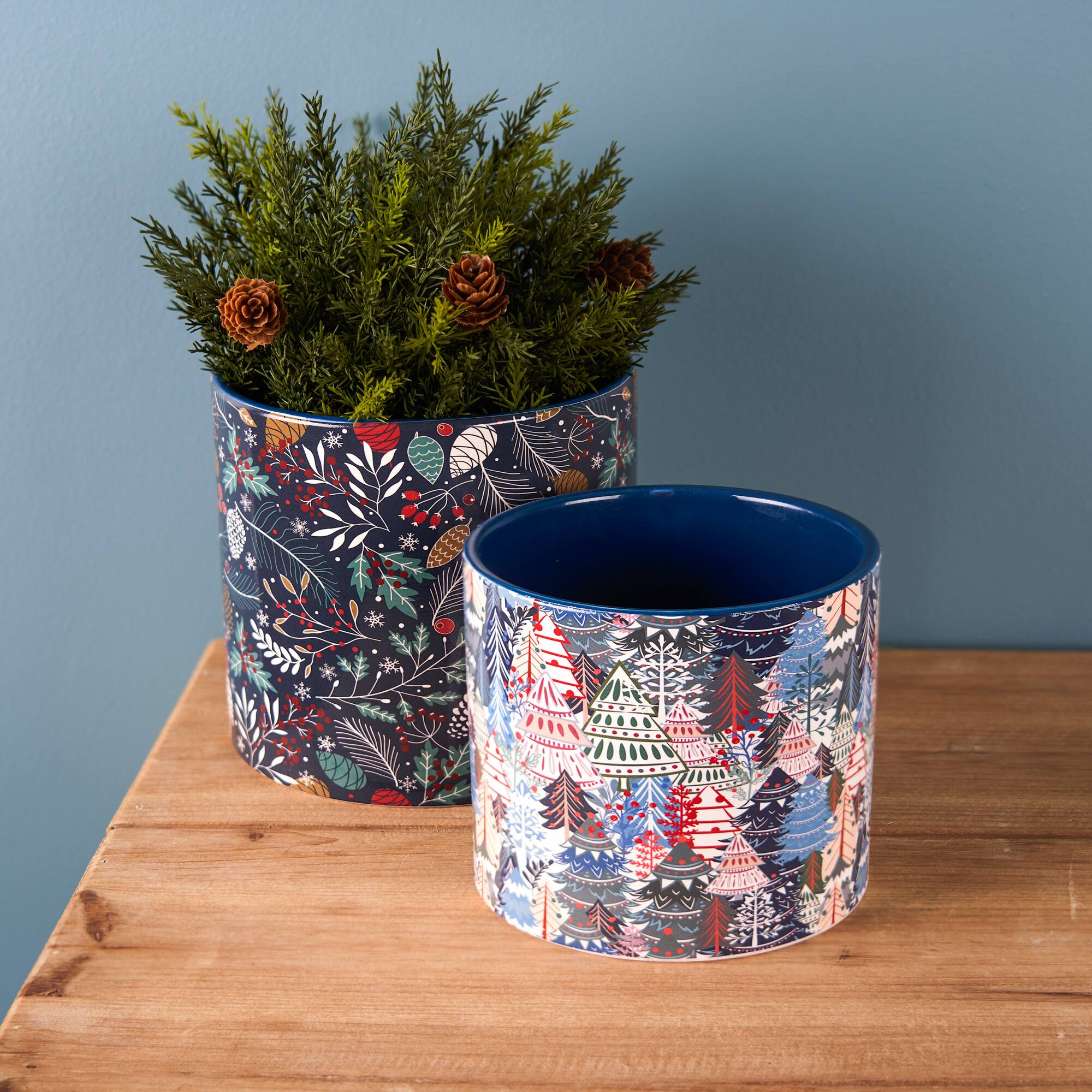 Berry & Pine Tree Holiday Planter Set